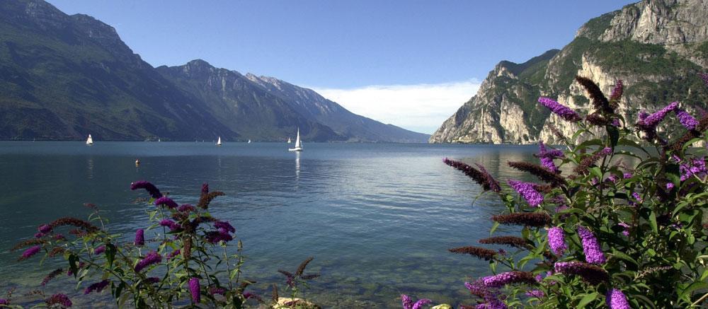 Villa Linfano Torbole Sul Garda Exterior photo